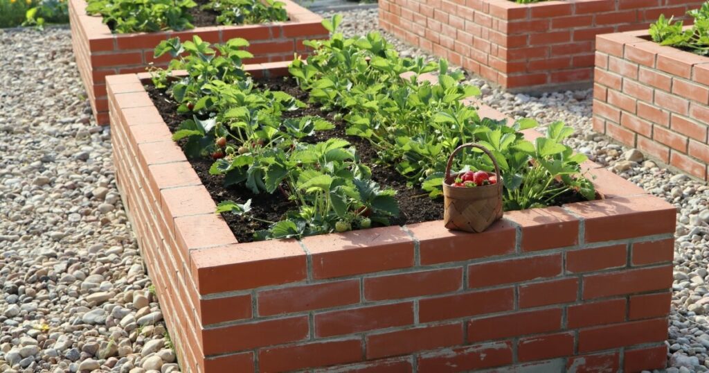 raised bed garden made with bricks