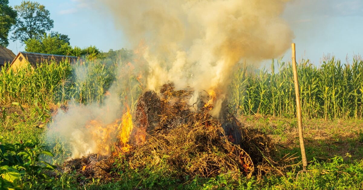 close-up compost heap on fire controlled burn